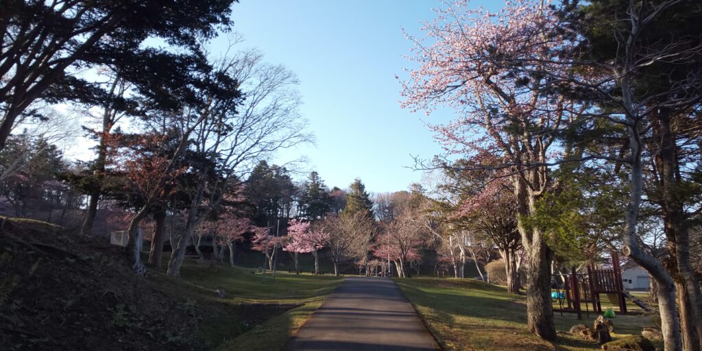 桜の名所「子野日公園」