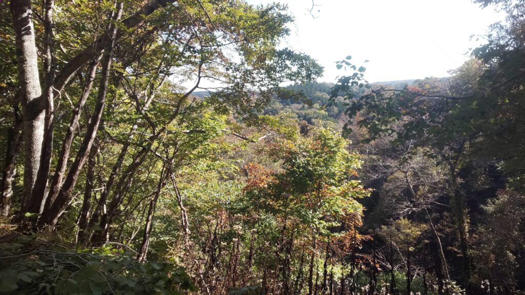 ヒグマが生息する紅葉に染まった秋の山岳風景